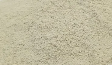 Cassia Gum Powder India