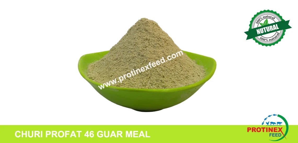 CHURI PROFAT 46 GUAR MEAL