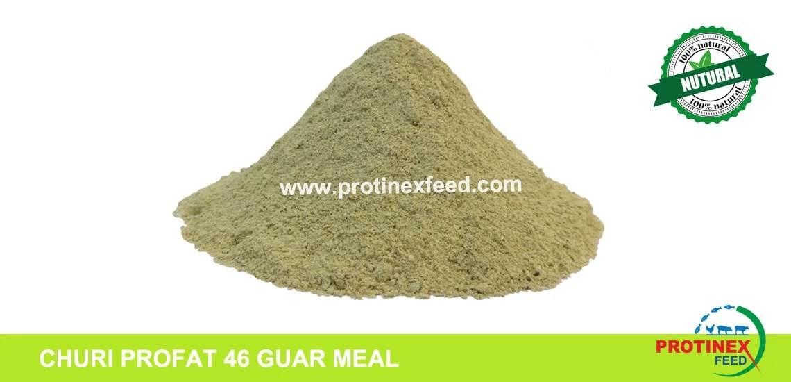 CHURI PROFAT 46 GUAR MEAL