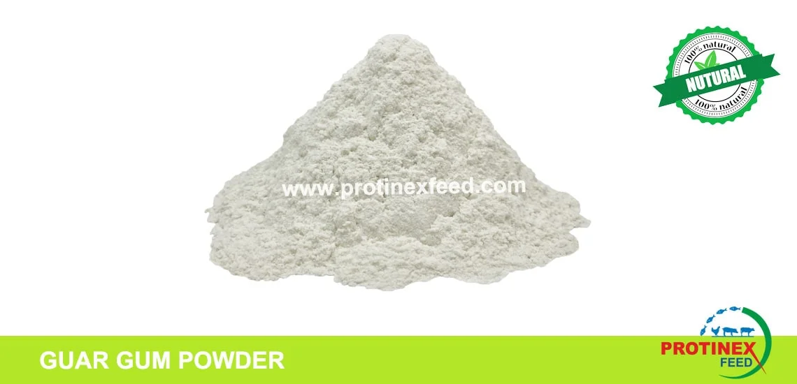 Guar Gum Powder Manufacturer India