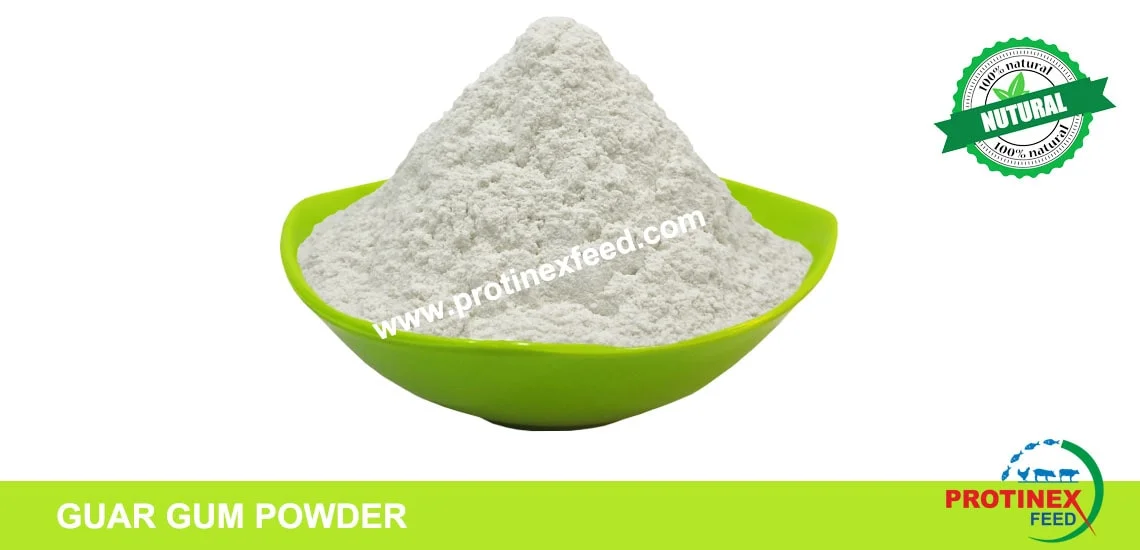 Guar Gum Powder Exporter India