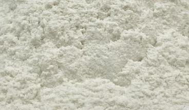 Guar Gum Powder Manufacturer India