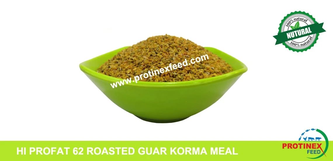 HI PROFAT 62 ROASTED GUAR KORMA MEAL