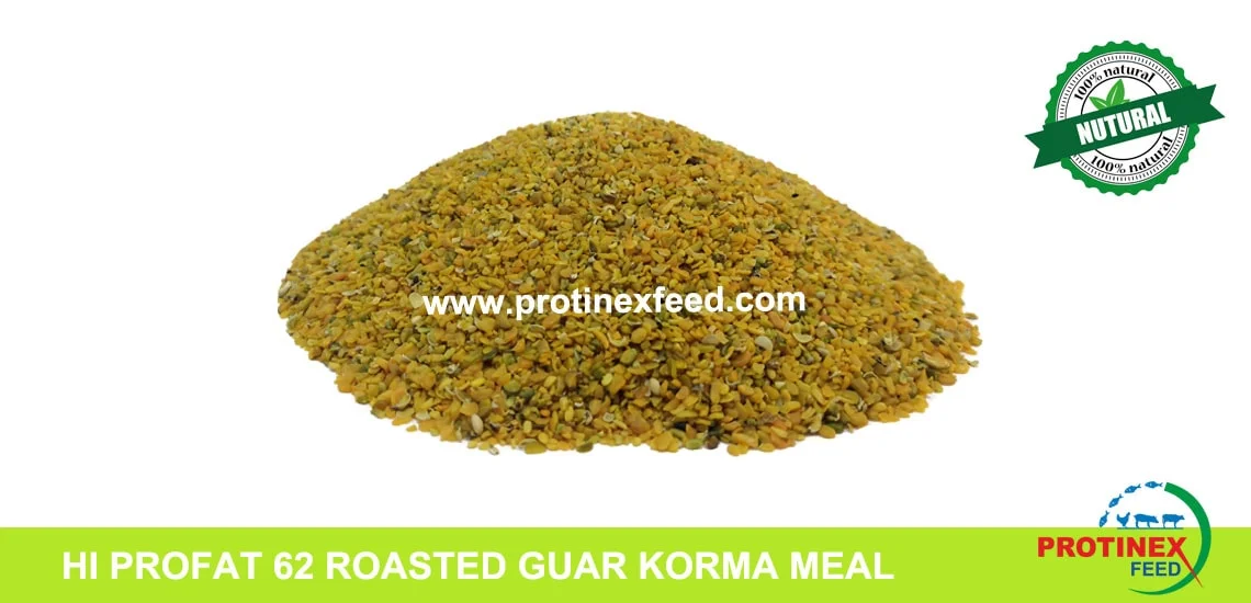 HI PROFAT 62 ROASTED GUAR KORMA MEAL