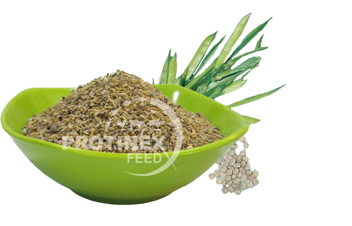 Toasted Guar Korma Exporter India