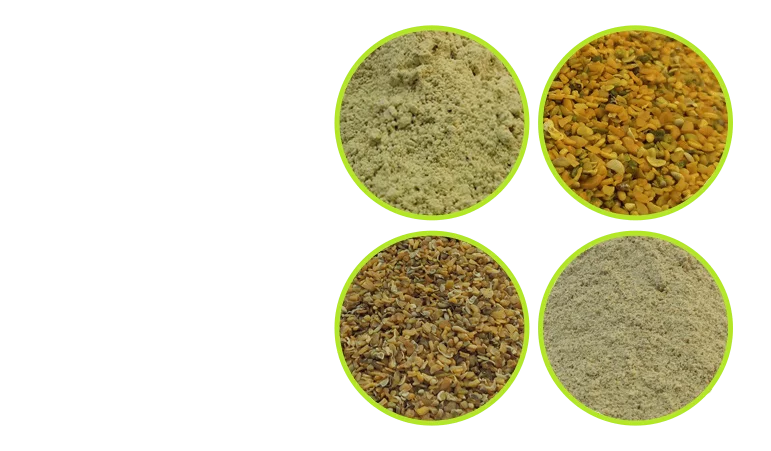 Organic Guar Meal Manufacturer India