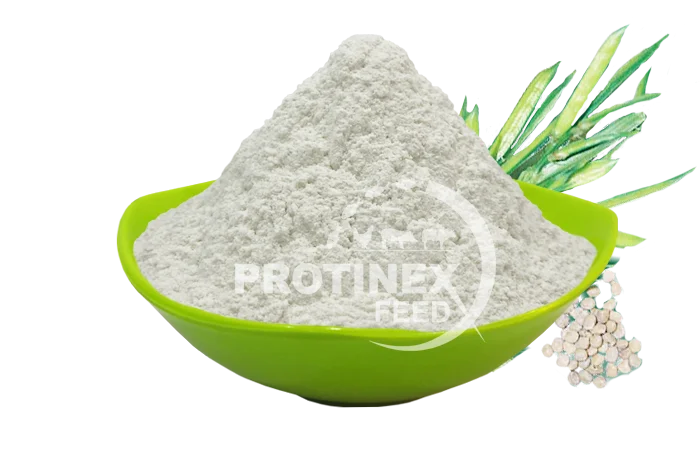 Guar Gum Powder Manufacturer India