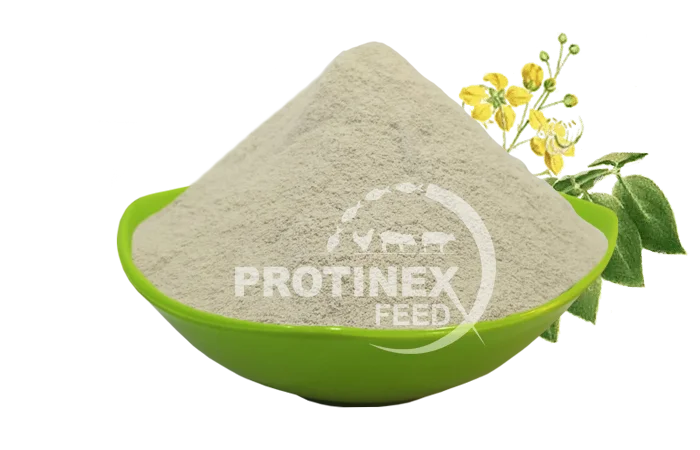 Cassia Gum Powder Manufacturer India