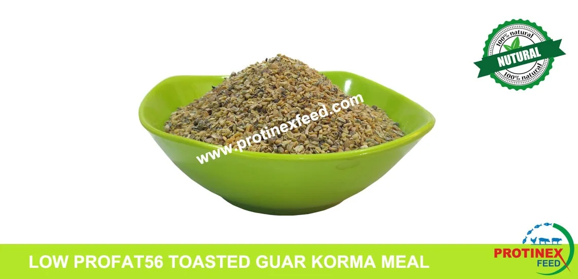 Low Profat 56 Toasted Guar Korma Meal